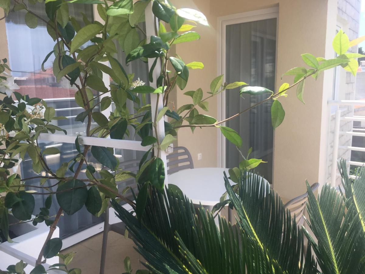 Rita Apartments - Sea-View Apartment 2Plus1 Tučepi Екстериор снимка